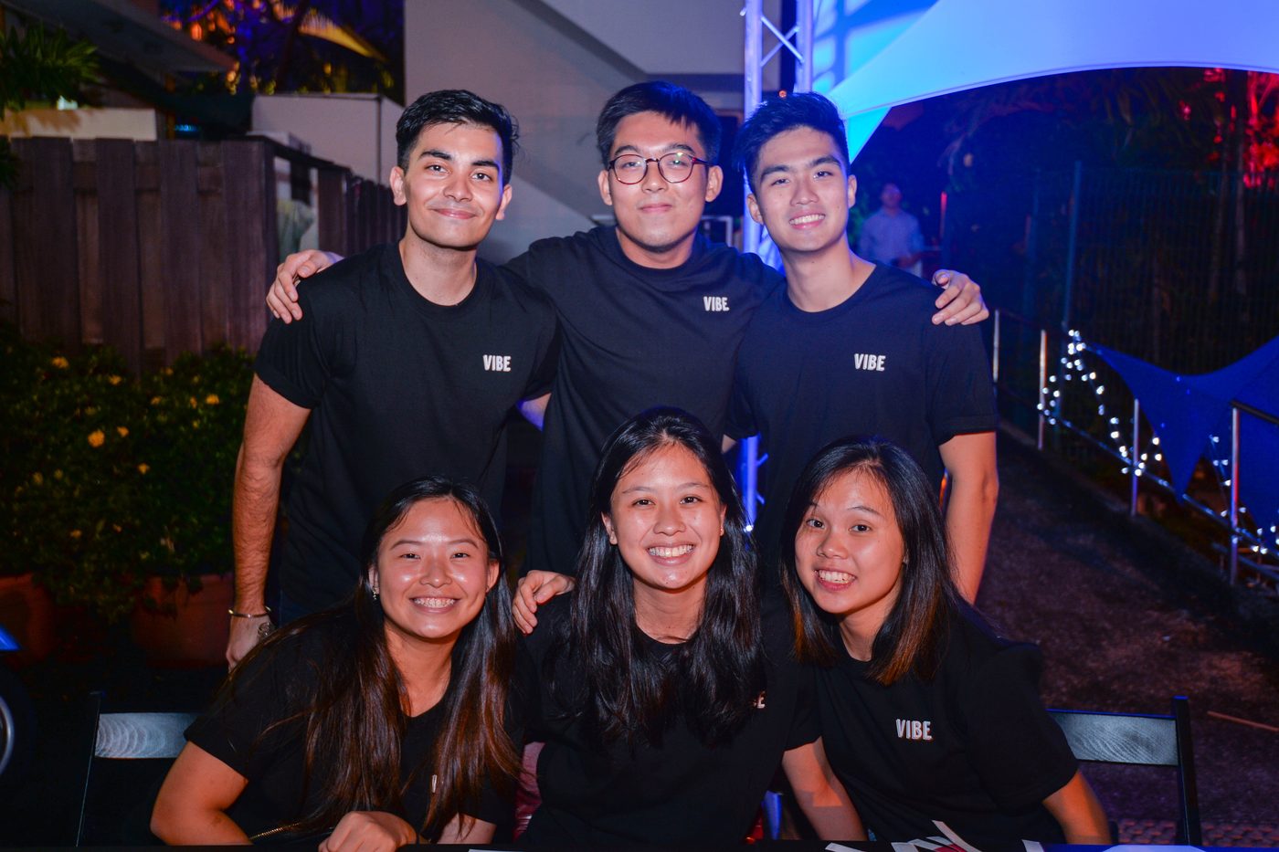 The VIBE organising committee
